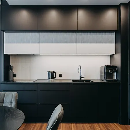 Black&white Bukowska18 B With Balcony And Garage 公寓 波兹南
